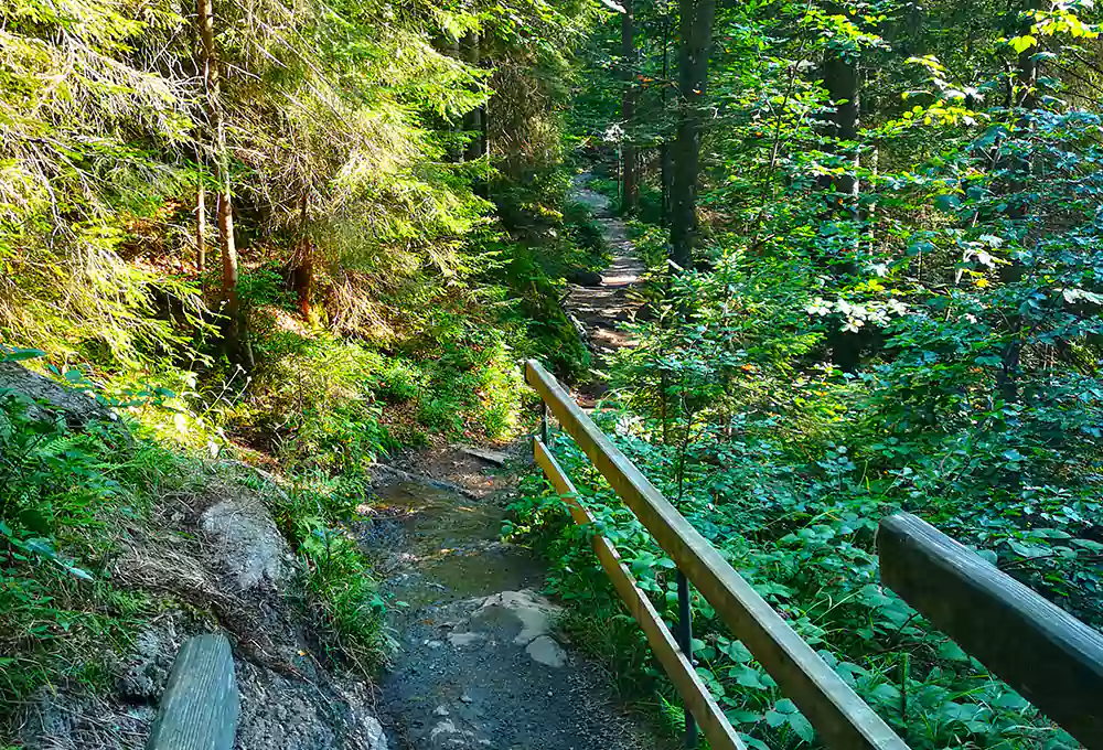 Steiniger Wanderweg zum Hochfall bei Bodenmais