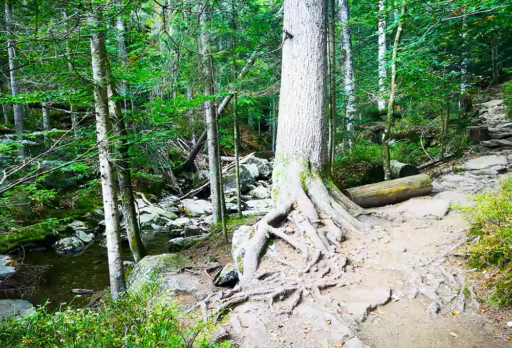 Die Rieslochwasserfälle bei Bodenmais