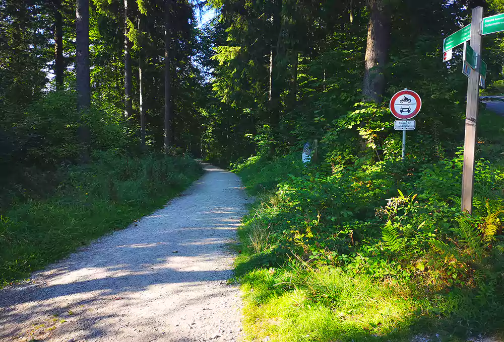 Wanderweg zum Hochfall bei Bodenmais